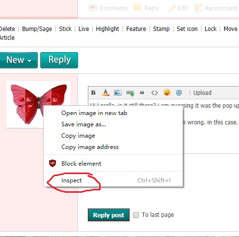inspect1.jpg
