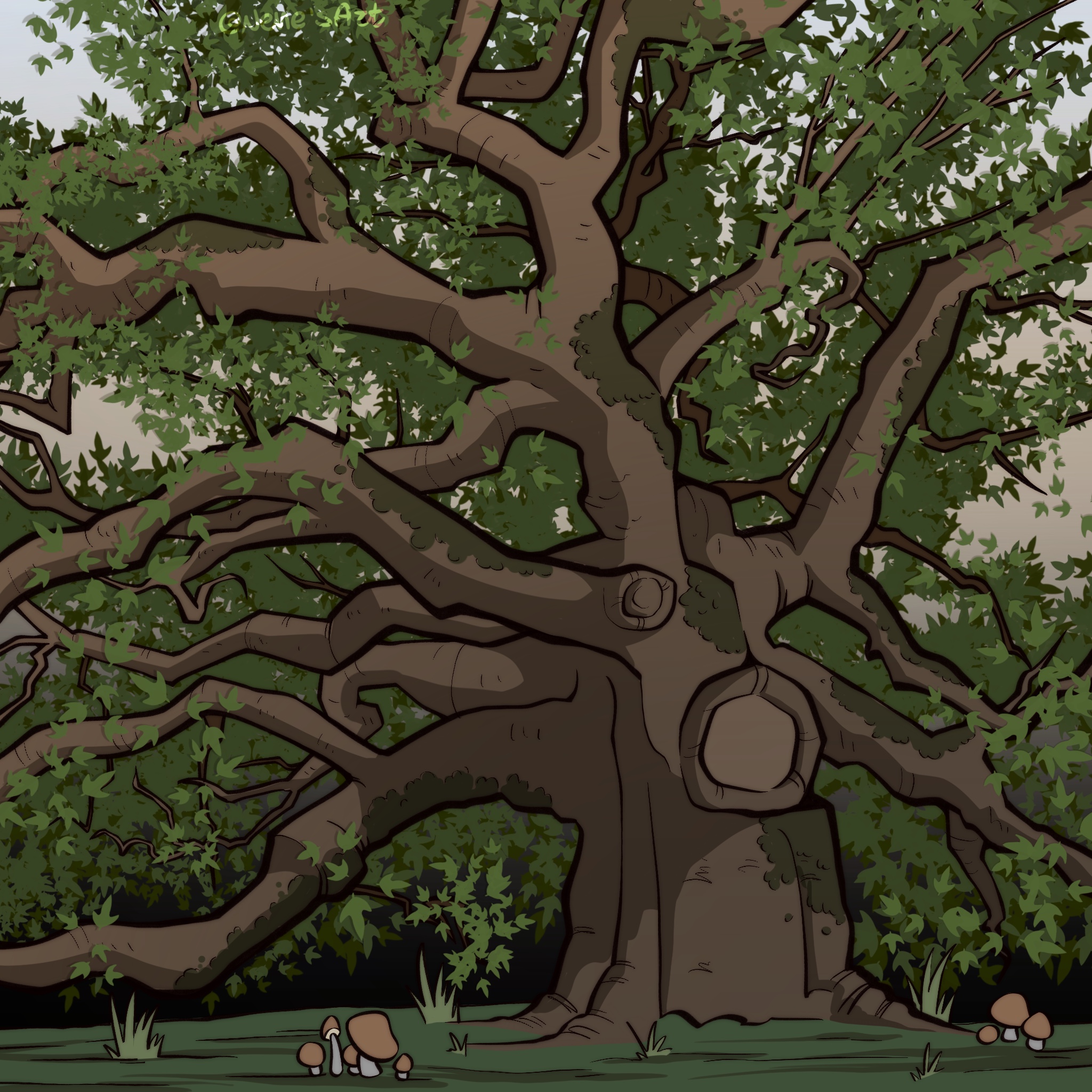 The Oak Tree that will bring her to a new world